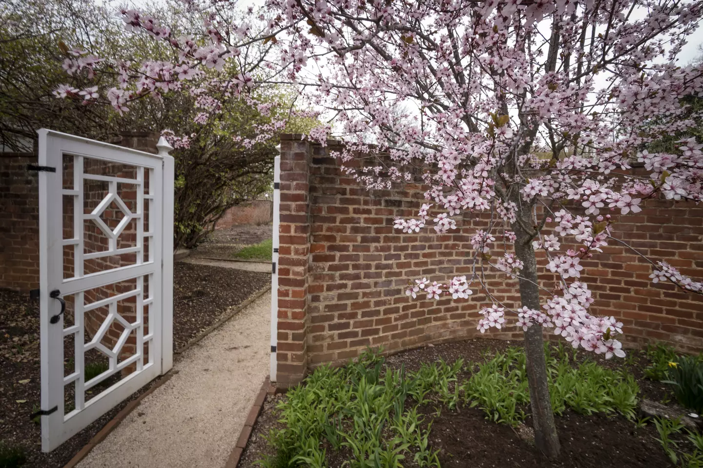 Open gate in garden