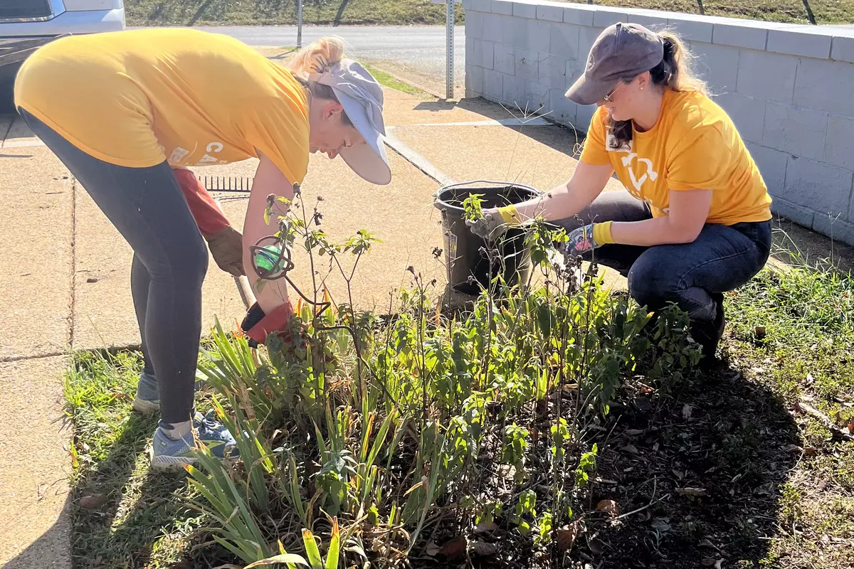 Day of Caring volunteers